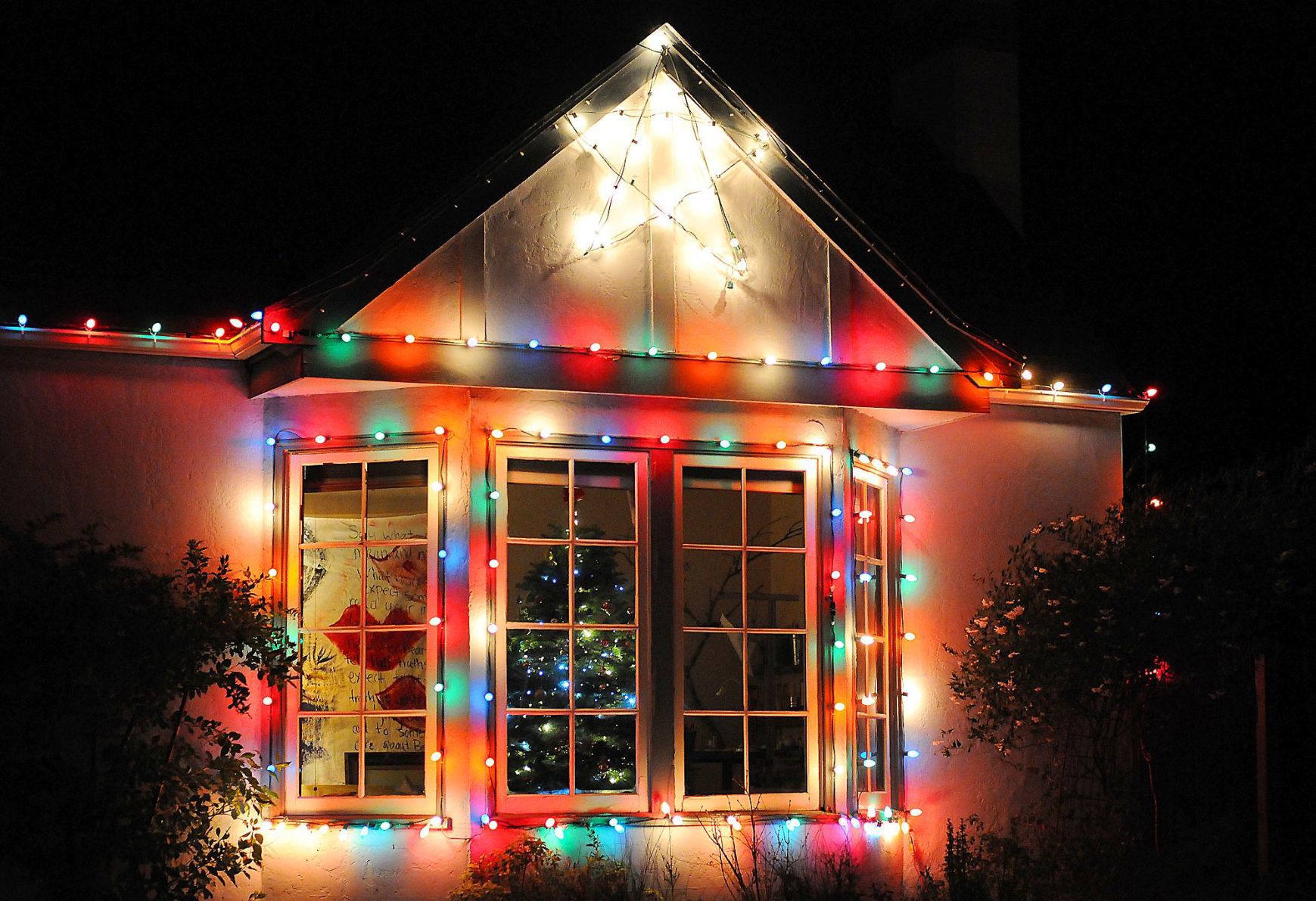 Napa Christmas lights